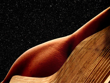 Mostra-de-fotografia-traz-t